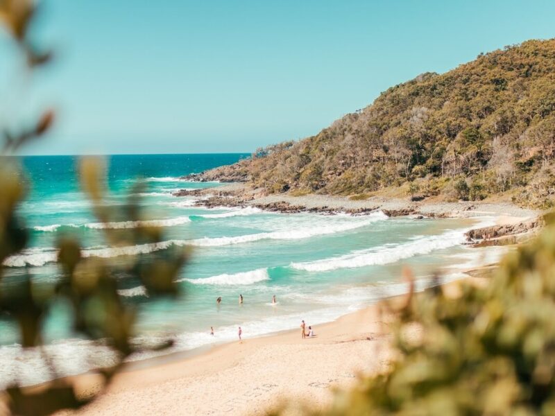 Visit Noosa for Your Next Holiday