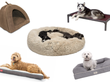 Choose A Dog Bed That Makes Your Dog Happy